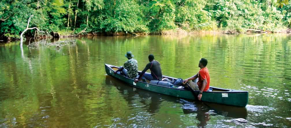 Rivière à l’intérieur du parc national de Sapo
