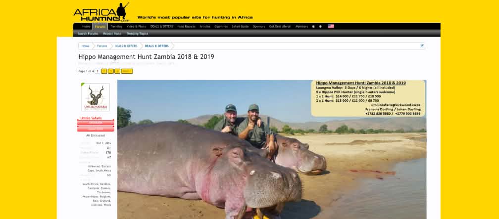 Selon les estimations, il ne reste plus que 130.000 hippopotames à l’état sauvage. Capture d'écran de site internet offrant des chasses à l'hippopotame