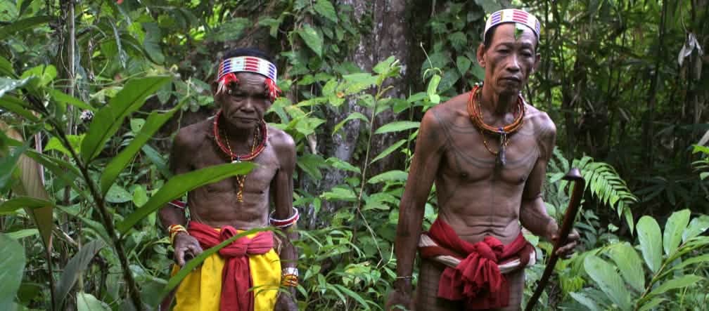 Deux hommes-fleurs au milieu de leur forêt sur l’île de Siberut en Indonésie