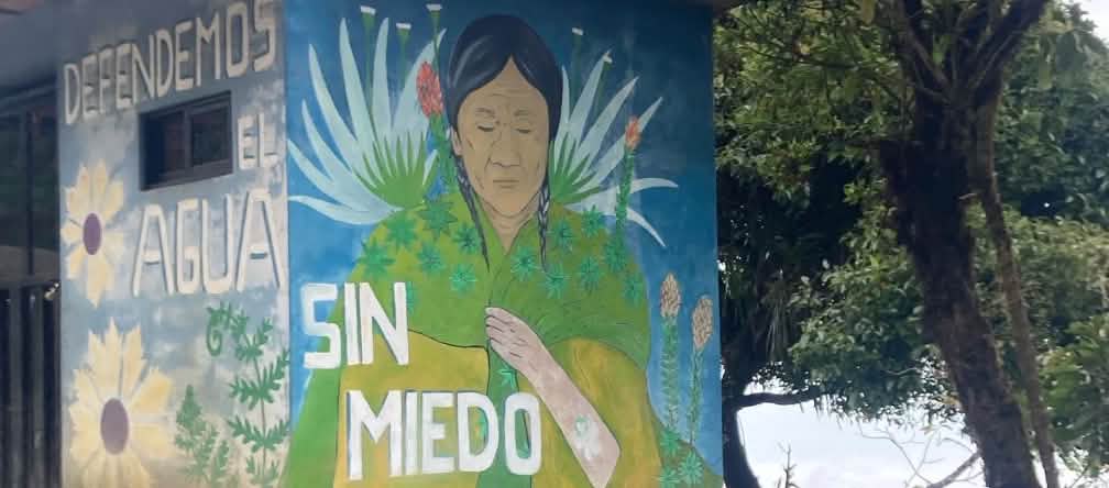 Fresque murale représentant une Autochtone et des motifs floraux ainsi que l’inscription : "Defendemos el agua sin miedo"