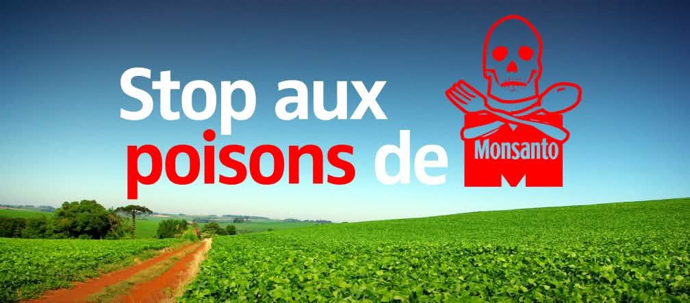 Les pesticides de Monsanto empoisonnent l’homme et la nature Vue sur un champ de soja transgénique barré par le texte « Stop aux poisons de MONSANTO »