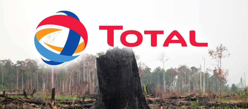 Forêt tropicale dévastée pour la culture d'huile de palme à Sumatra