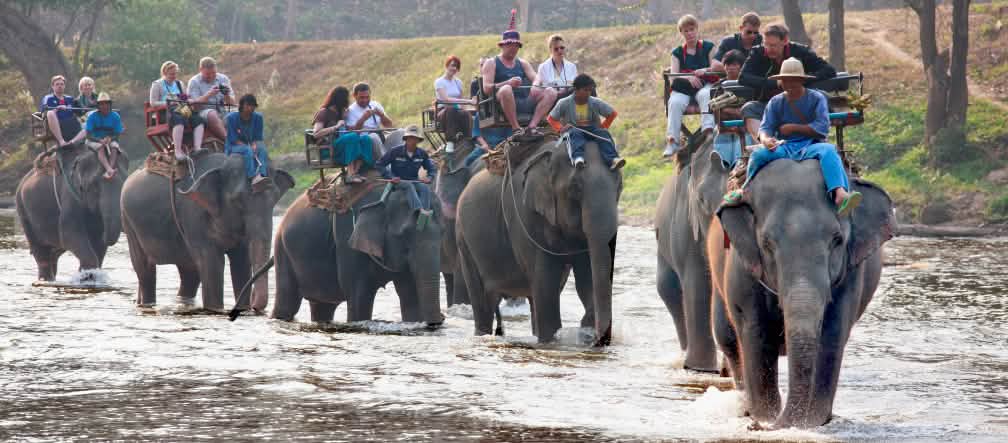 Groupe de touristes en train de faire une promenade à dos d’éléphant en Thailande