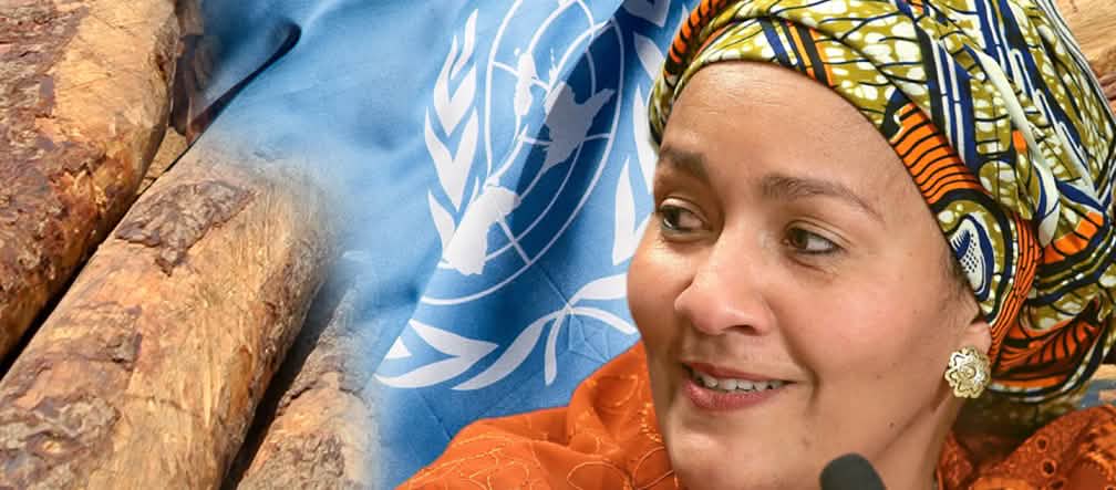 Mme Amina J. Mohammed, vice-secrétaire générale de l'ONU devant de grume de palissandre et le drapeau des Nations-unies