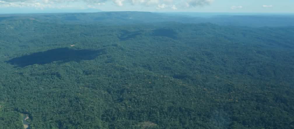 Vue aérienne d’un petit avion survolant la forêt du peuple indigène Sápara en Amazonie équatorienne