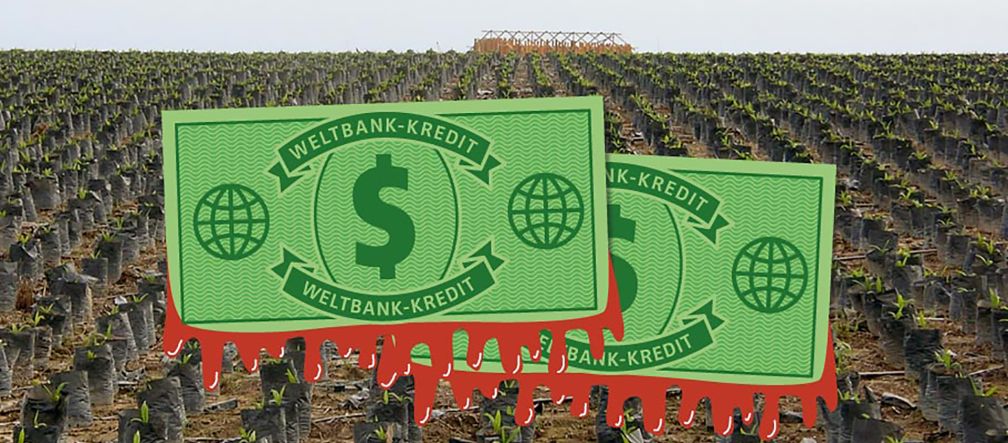 Les dollars de la Banque mondiale financent les déserts verts de palmiers à huile au Honduras