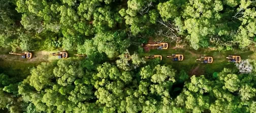 Photo de drone d’une longue file d’excavatrices circulant dans la forêt tropicale