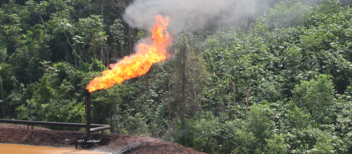 Destruction de l’environnement causée par un forage pétrolier en Équateur