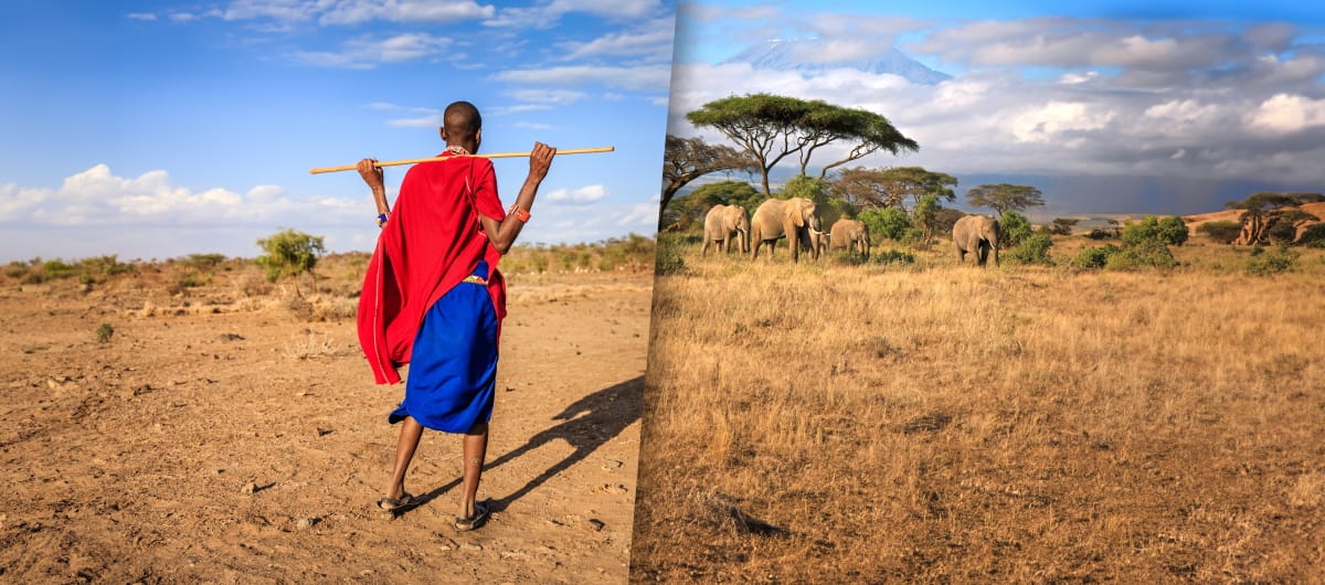 Photomontage : à gauche un Massaï qui regarde à droite au loin un groupe d’éléphants