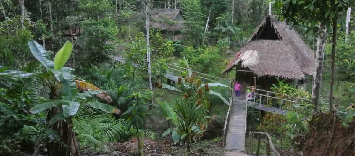 La vie en communion avec la nature en Amazonie La végétation tropicale laisse apercevoir un petit hameau