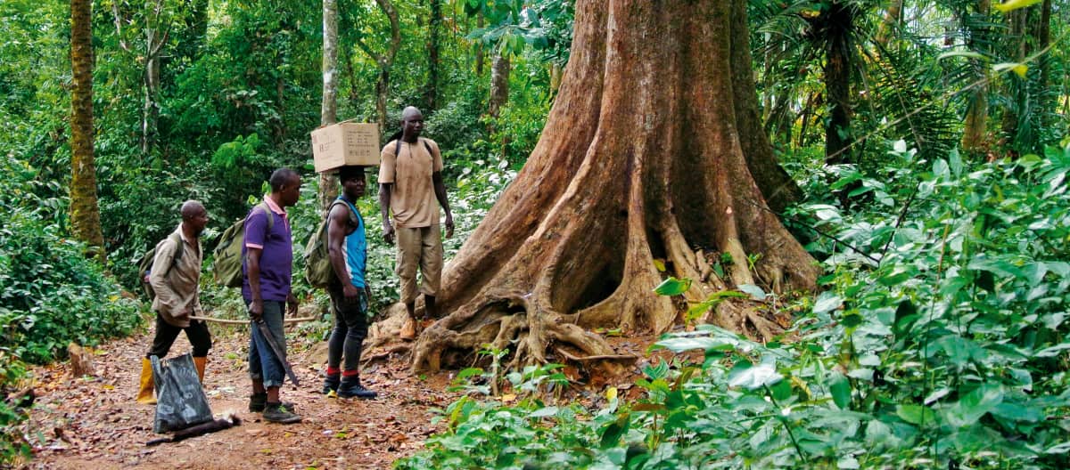 Éco-gardes dans la forêt de Cross River au Nigeria