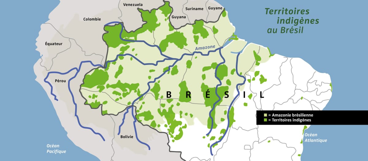 Carte de l’Amazonie brésilienne (vert clair) et des territoires indigènes du Brésil (vert foncé)