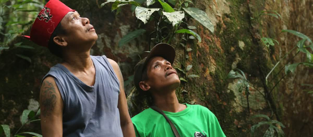La forêt est notre foyer Des autochtones Dayak Tomun dans la forêt de Kinipan