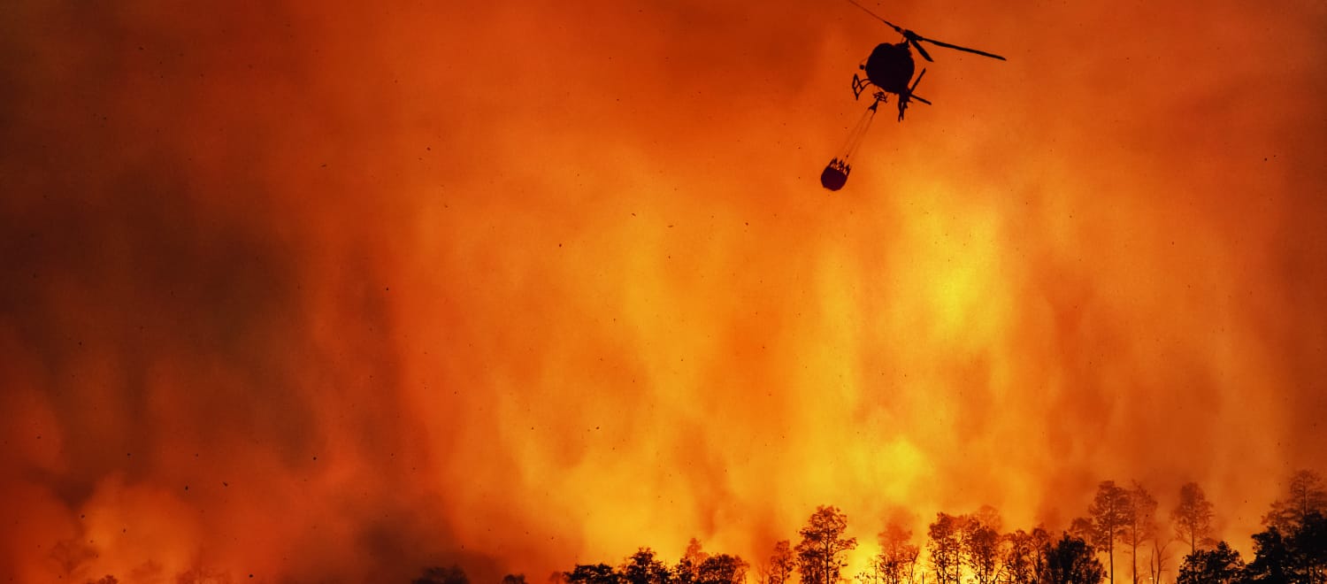 Feu de forêt