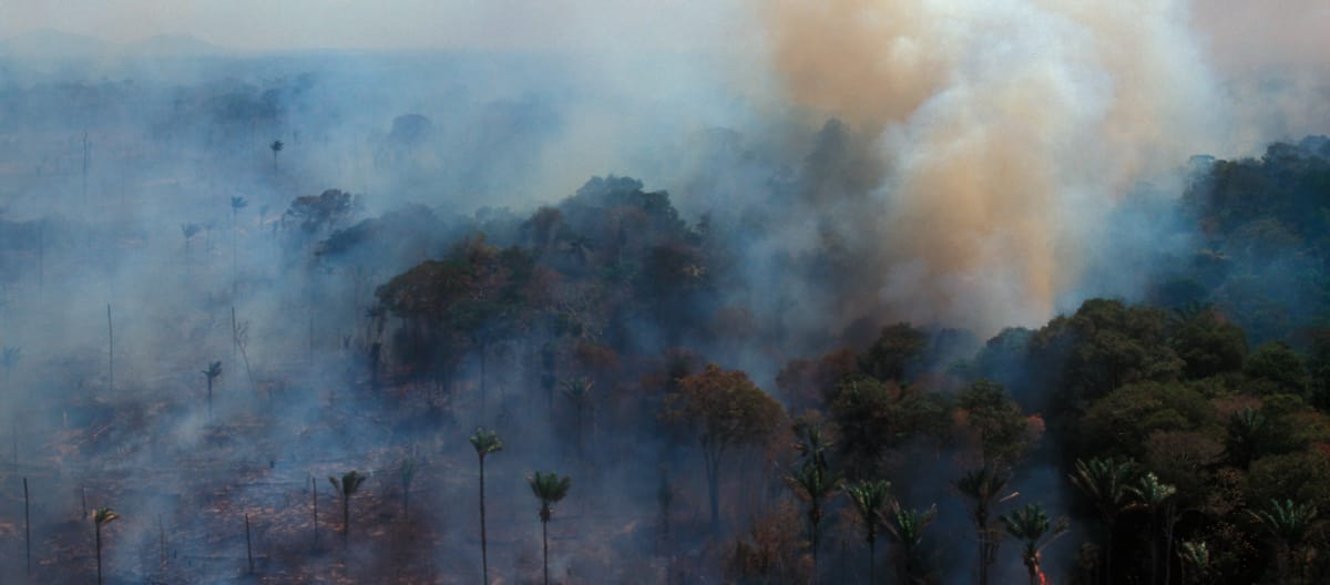 Vue aérienne de la combustion de la forêt amazonienne