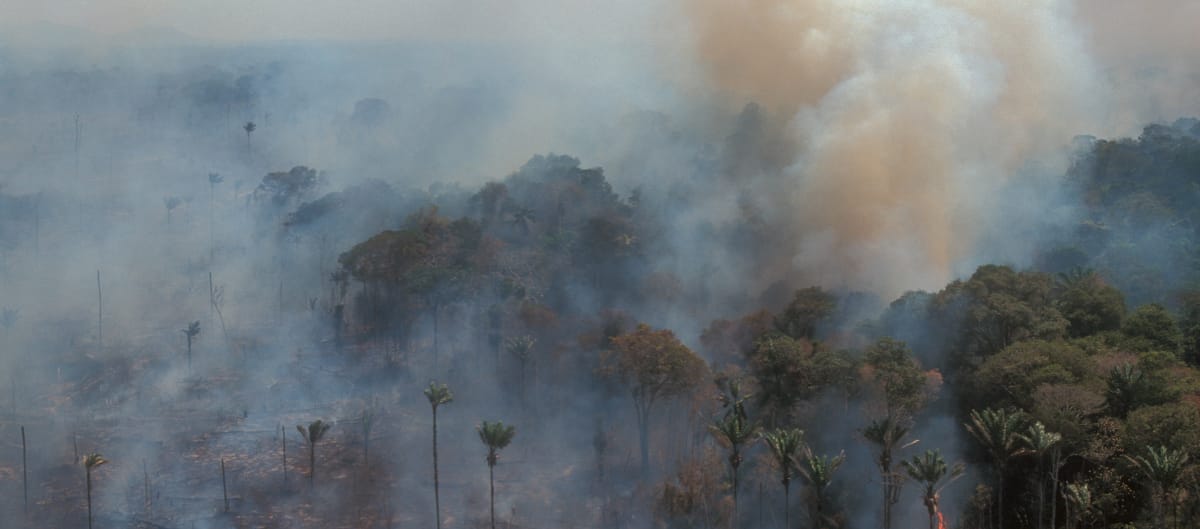 Vue aérienne de la combustion de la forêt amazonienne