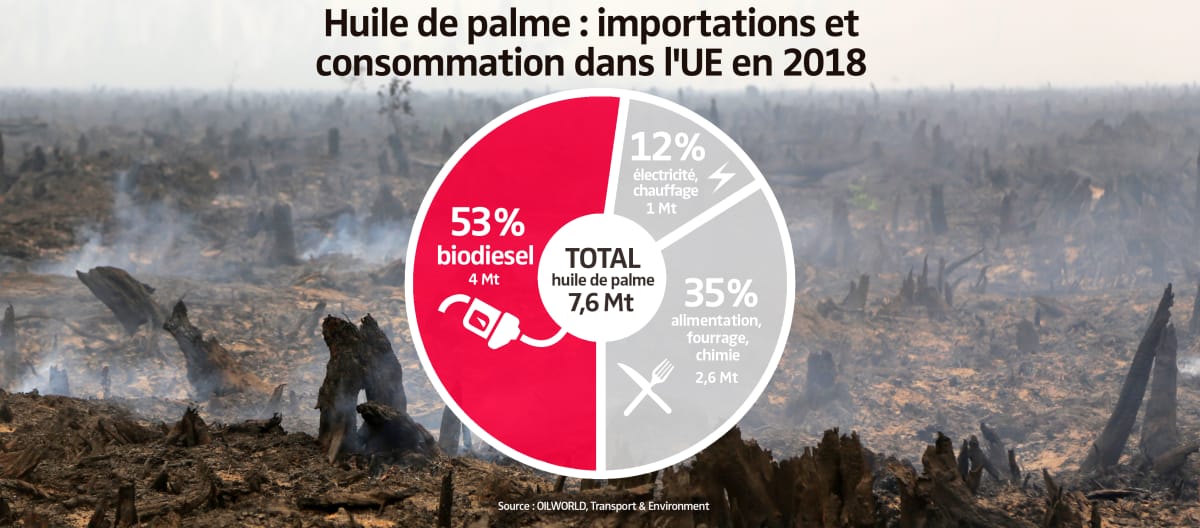 Huile de palme : importations et consommation dans l’UE en 2018