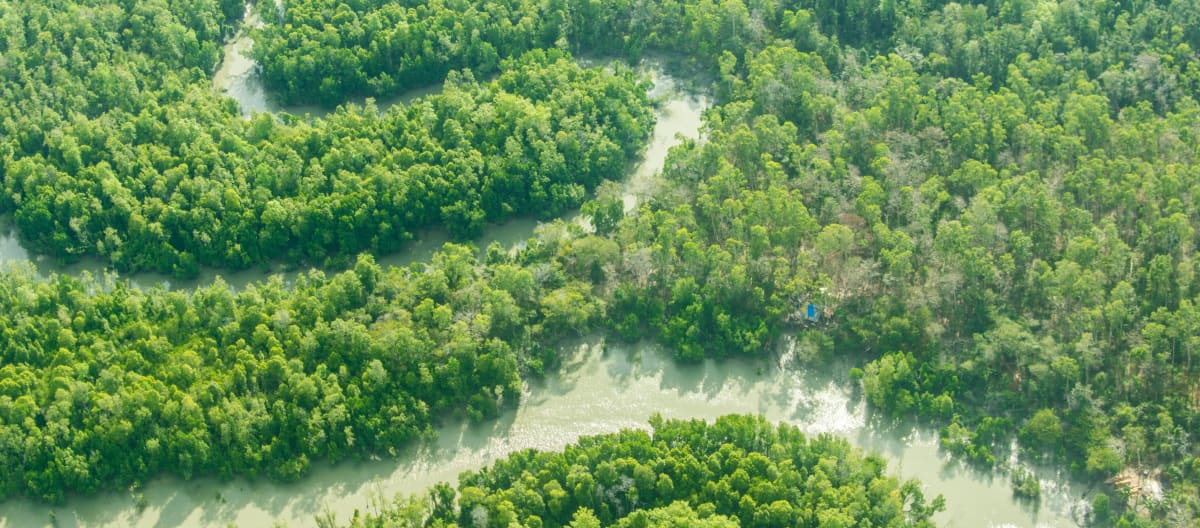 Vue aérienne du fleuve Digul serpentant la forêt tropicales dans le sud de la Papouasie