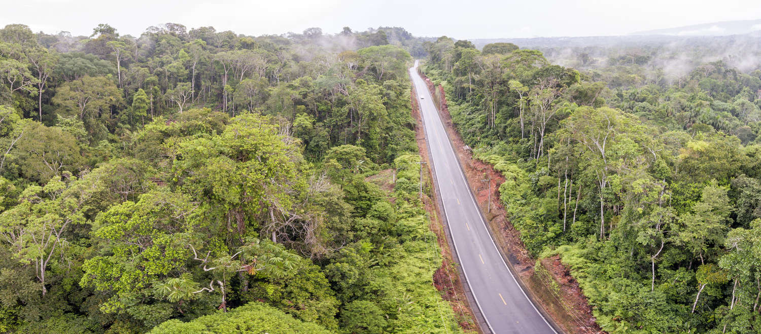 Route en pleine forêt tropicale
