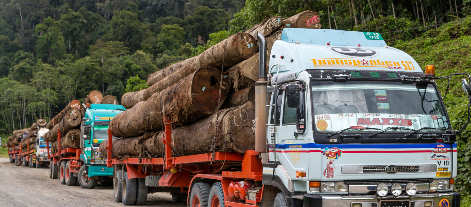 Camions transportant des grumes dans le district de Tawau à Sabah