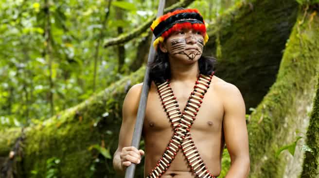 La forêt amazonienne procure aux peuples indigènes tout ce dont ils ont besoin pour vivre Un indigène muni de sa sarbacane au cœur de la forêt équatoriale