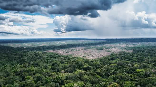 Les plantations industrielles menacent la forêt tropicale au Pérou Photo aérienne des forêts vierges à proximité du village de Tamshiyacu au Pérou