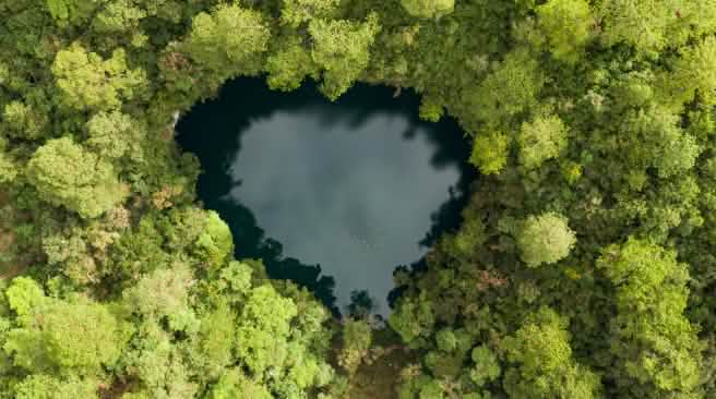 Vue aérienne d’un petit cénote en forme de cœur aux eaux sombres, entouré d’une forêt dense et verdoyante
