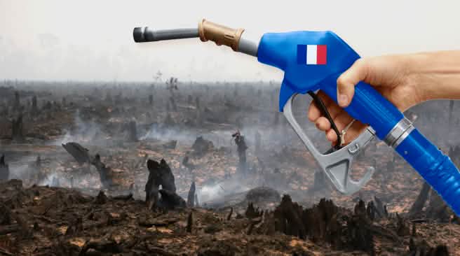 Faisons supprimer l'exonération fiscale dont bénéficie l'huile de palme en tant que biocarburant Photomontage : une pompe à essence aux couleurs de la France avant en arrière plan une forêt tropicale venant d'être incendiée pour la culture d'huile de palme