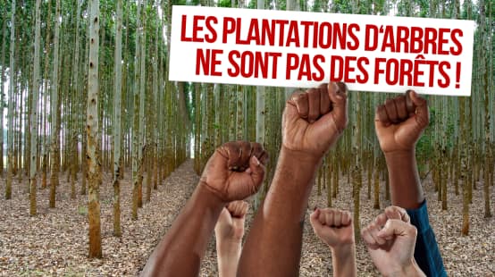 Phomontage pour la Journée contre les monocultures