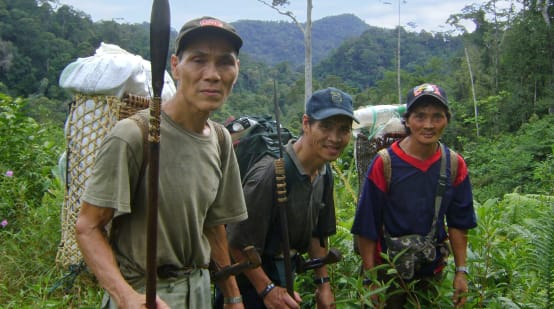 Trois indigènes du peuple Penan transportent des bagages dans des paniers sur leur dos à travers la forêt tropicale malaisienne