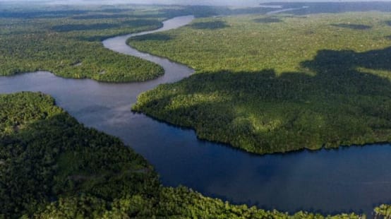 Vue aérienne sur des boisées en Indonésie