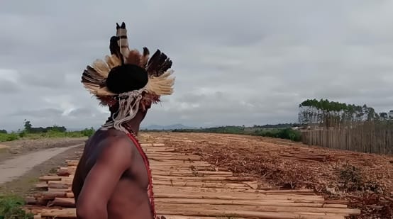 Indigène dans une plantation d’eucalyptus au Brésil