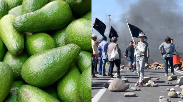 Photomontage : avocats (à gauche) - manifestation au Chili (droite)