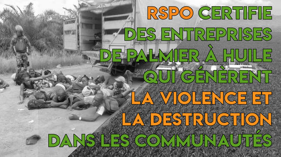 RSPO certifie des entreprises de palmier à huile qui génèrent la violence et la destruction dans les communautés