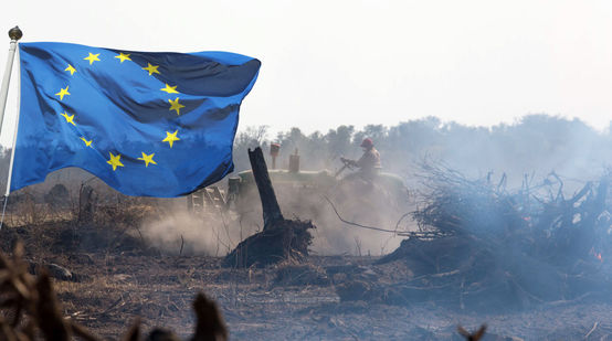 Photomontage : un drapeau de l'Union européenne flotte devant une surface de défrichement brûlée dans la forêt vierge