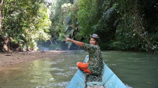 Sur son petit bateau, un homme montre la forêt tropicale du Sarawak avec enthousiasme