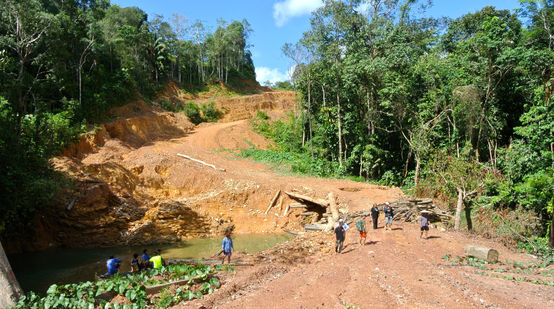 Zone défrichée au Sarawak (Malaisie)