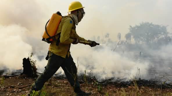 Une personne vêtue d’une tenue ignifuge, portant un réservoir d’eau sur le dos, asperge des débris végétaux en combustion au sol.
