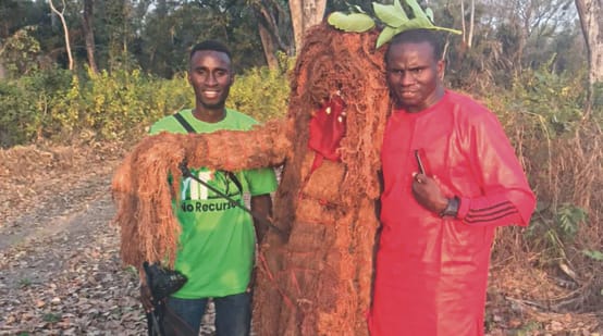 Spiritualité en Guinée-Bissau