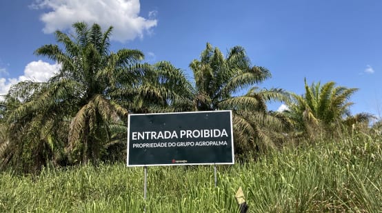 Panneau de signalisation devant une plantation de palmiers à huile sur lequel est inscrit (en brésilien) : ENTRÉE  INTERDITE - PROPRIÉTÉ DU GROUPE AGROPALMA