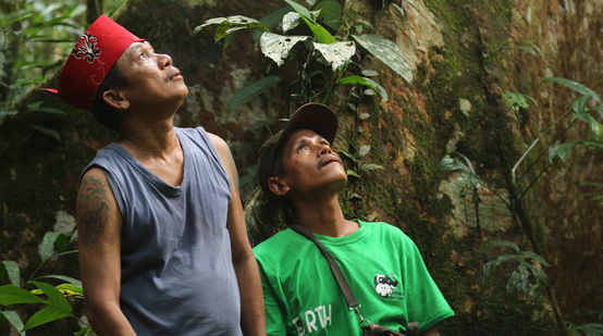 Des autochtones Dayak Tomun dans la forêt de Kinipan
