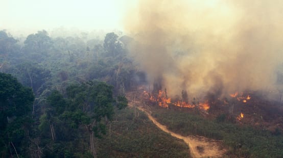 Feu en Amazonie