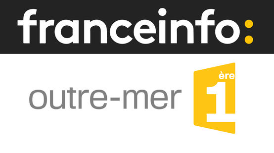 Logo France Info 1ère