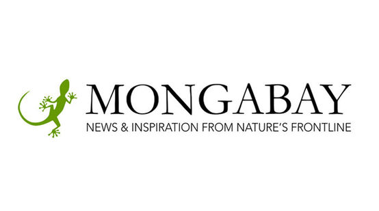 Logo Mongabay