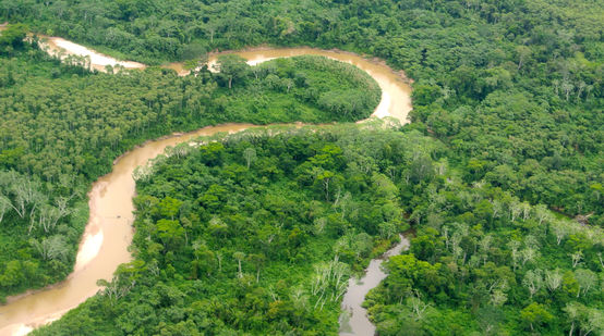 Vue aérienne d’un fleuve serpentant la forêt en Amazonie péruvienne