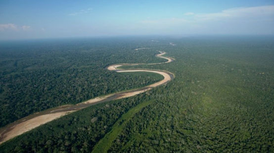 Photos aériennes d’un fleuve, qui serpente à travers la forêt tropicale restée intacte dans les plaines de Bolivie