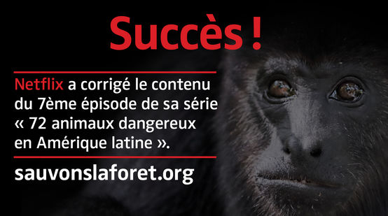 Singe Hurleur noir (Alouatta carayá) avec sur fond noir avec le texte "Succès"