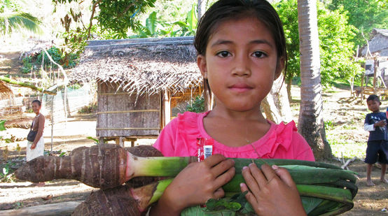 Avec pour arrière plan les cabanes de son village, une jeune fille au T-Shirt rose nous montre une belle botte de Taro