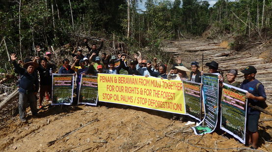 Des indigènes Penan et Berawan manifestent contre le déboisement de la forêt de Mulu dans l’état du Sarawak en Malaisie