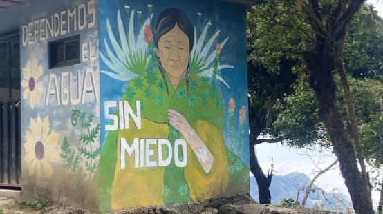Fresque murale représentant une Autochtone et des motifs floraux ainsi que l’inscription : "Defendemos el agua sin miedo"